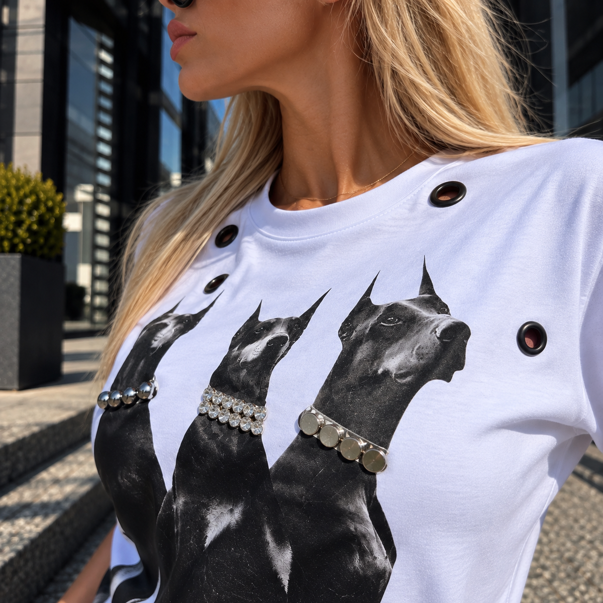 MONARCHY LIMITED — DOBERMAN DROP 01